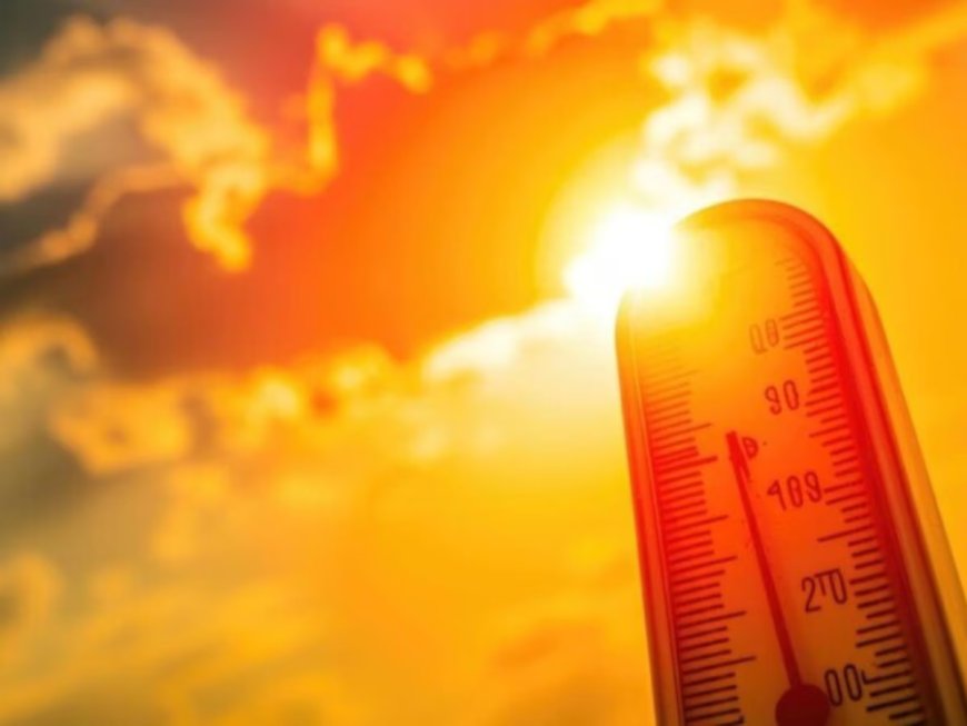 प्रदेश में गर्मी का प्रकोप जारी, रतलाम में पारा 44.2 डिग्री सेल्सियस तक पहुंचा