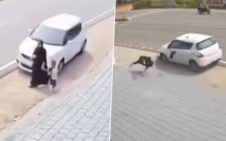 केरल के मलप्पुरम में तेज रफ्तार कार ने महिला को मारी टक्कर, CCTV में कैद हुआ चौंकाने वाला हादसा