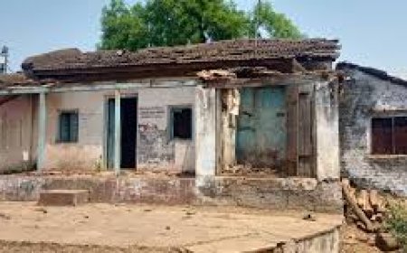 MP News: 20 साल पुराना अनाज पंचायत भवन में पड़ा रहा, लापरवाही की हदें पार; जांच शुरू