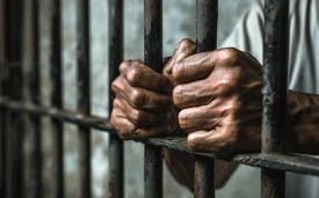 जमानत पर छूटा, फिर किया दुष्कर्म: हाई कोर्ट का फैसला- दोनों सजाएं अलग-अलग चलेंगी