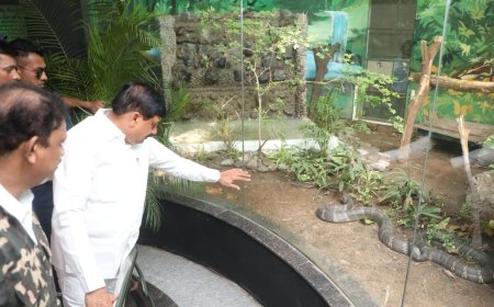 मुख्यमंत्री डॉ. मोहन यादव ने इंदौर चिड़ियाघर को भेंट किया नर किंग कोबरा