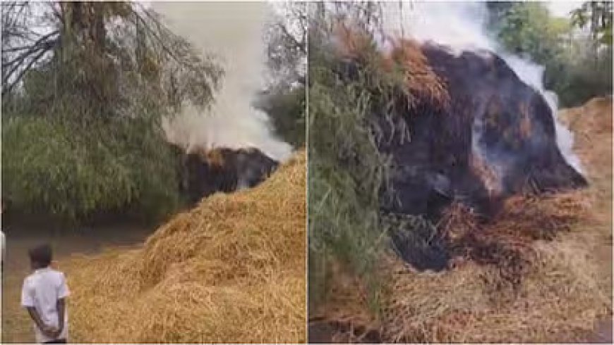 सिहोर में तूफानी बारिश का प्रकोप: शादी के घर पर बिजली गिरने से मासूम की दुखद मृत्यु