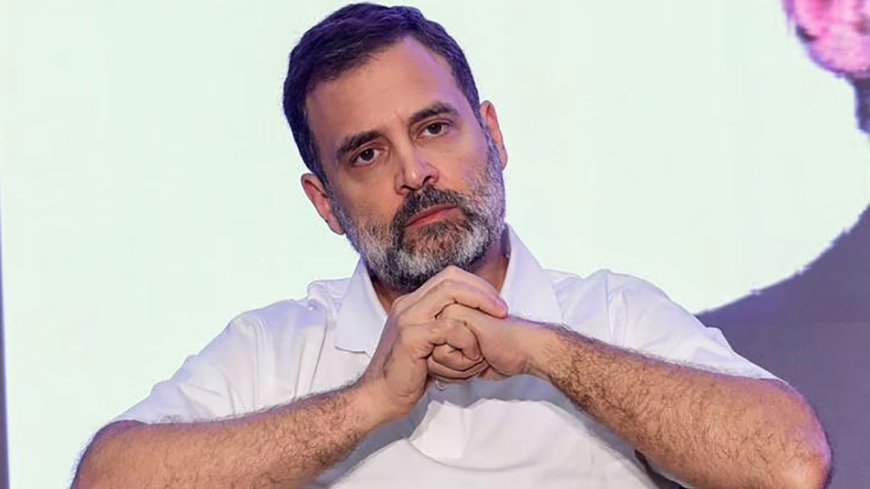 इलाहाबाद हाईकोर्ट ने खारिज की राहुल गांधी की नागरिकता रद्द करने की याचिका, कहीं यह बात