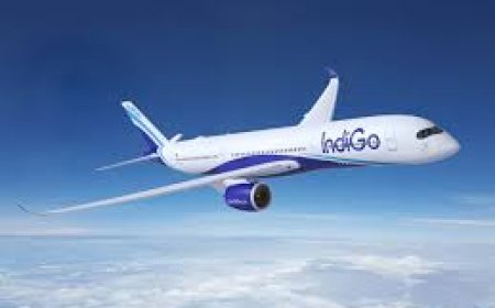 इंडिगो की फ्लाइट में तकनीकी खराबी, दिल्ली से लेह जा रहा विमान वापस लौटा; इमरजेंसी लैंडिंग कराई गई
