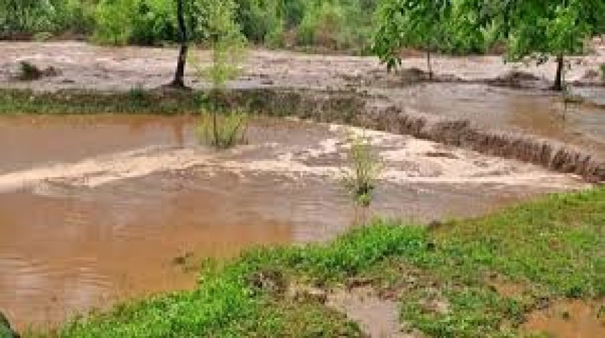 "खेत-तालाब और अमृत सरोवर योजनाओं से 1.67 लाख हेक्टेयर से अधिक भूमि में होगी सिंचाई, किसानों के चेहरों पर लौटेगी मुस्कान।"