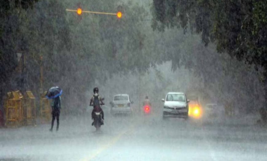 छत्तीसगढ़ में मॉनसून अब पूरे जोर पर, रायपुर में सुबह से हल्की बारिश