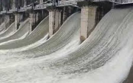 MP में लगातार तेज बारिश नर्मदा नदी खतरे के निशान से ऊपर मंडला, डिंडौरी, श्योपुर, शहडोल, उमरिया समेत कई जिले बाढ़ की चपेट में