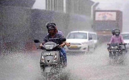 रायपुर : प्रदेश में अब तक 378.2 मि.मी. औसत वर्षा दर्ज