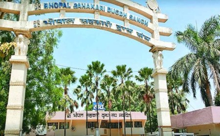 किसानों की बेटियों के लिए मामेरा भेजेगा भोपाल दुग्ध संघ