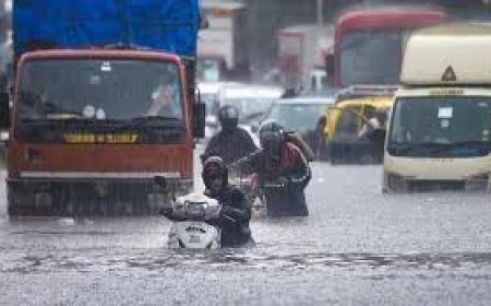 MP में बारिश ने पकड़ी रफ्तार: भोपाल-नर्मदापुरम में 8 इंच बारिश का अलर्ट, 34 जिलों में भारी बारिश की चेतावनी