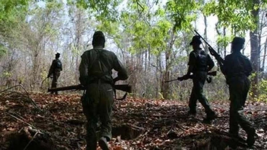सुरक्षाबलों को मिली बड़ी सफलता, नारायणपुर में एनकाउटंर में 6 माओवादी ढेर, बड़ी संख्या में हथियार बरामद