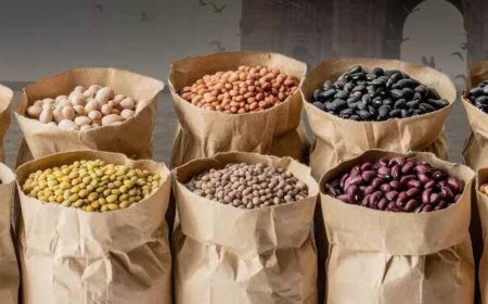 भारत के टॉप दाल उत्पादक राज्यों की लिस्ट: UP 5वें नंबर पर, जानें नंबर 1 और 2