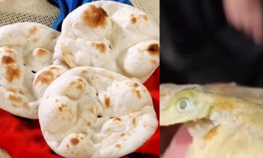 कानपुर के ढाबे में मिली छिपकली वाली तंदूरी रोटी, ग्राहक हुए परेशान