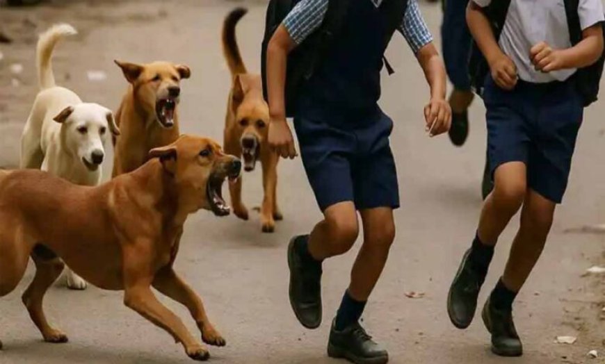 भोपाल में आवारा कुत्तों की समस्या गहराई, शेल्टर होम की फाइल भी गायब