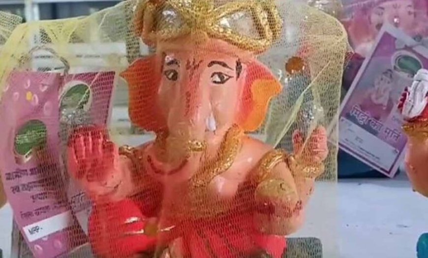 इको-फ्रेंडली गणेश, प्रशासन की पहल से 50% कम हुई पीओपी मूर्तियां