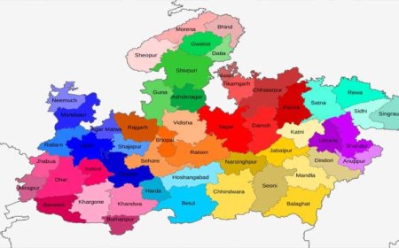 MP के रीवा और नवगठित मैहर जिले के बीच सीमांकन बदलने की तैयारी, कई गांव होंगे अलग