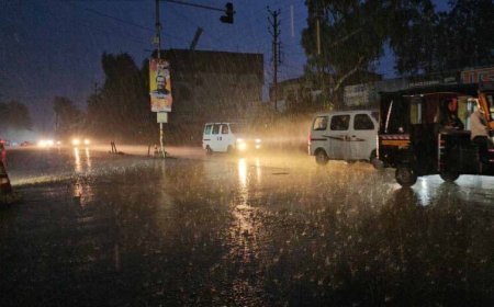 MP में मानसून मेहरबान: आज कई जिलों में झमाझम बारिश के आसार, मौसम विभाग का अलर्ट जारी