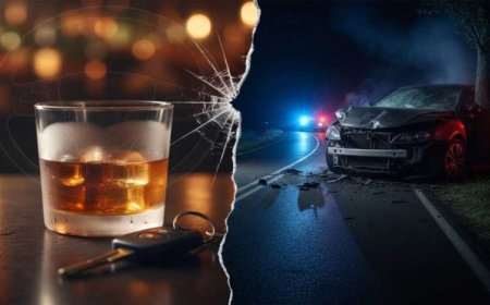 गांजा-शराब के सेवन से ड्राइवर हो रहे बेहोश, बढ़ रहे सड़क हादसों के मामले – चौंकाने वाली स्टडी