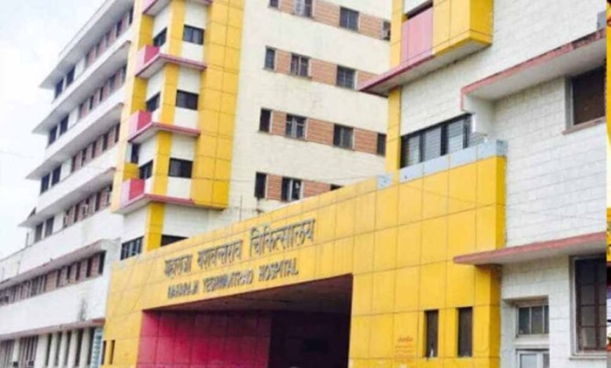 इंदौर चूहा कांड: जांच में देरी पर हाईकोर्ट सख्त, 5 दिन में मांगी राज्य सरकार से रिपोर्ट