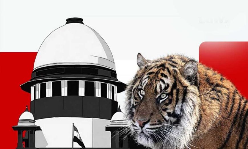 टाइगर शिकार पर सुप्रीम कोर्ट सख्त! MP-महाराष्ट्र से 4 हफ्ते में जवाब तलब, लगे संगठित शिकार के आरोप