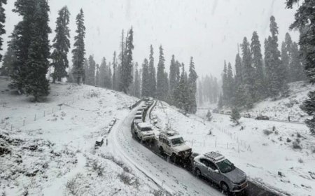 अक्टूबर में ही मौसम ने बदला मिज़ाज: पहाड़ों पर बर्फबारी, दिल्ली-NCR में झमाझम बारिश