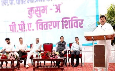 पीएम-कुसुम योजना के द्वितीय चरण में 500 मेगावाट क्षमता के निष्पादित पीपीए का हितग्राहियों में वितरण प्रारंभ