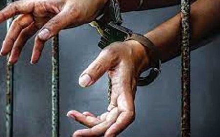 भोपाल- दिल्ली से गिरफ्तार हुए 2 आतंकी, ISI से जुड़े होने का हुआ खुलासा — फिदायीन प्लान क्या था?