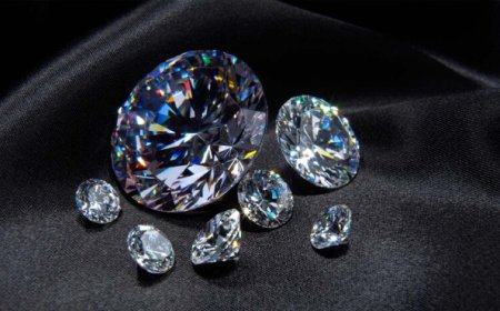 पन्ना टाइगर रिजर्व के गाइड को मिले दो चमचमाते हीरे, आगामी नीलामी में होंगे रखे