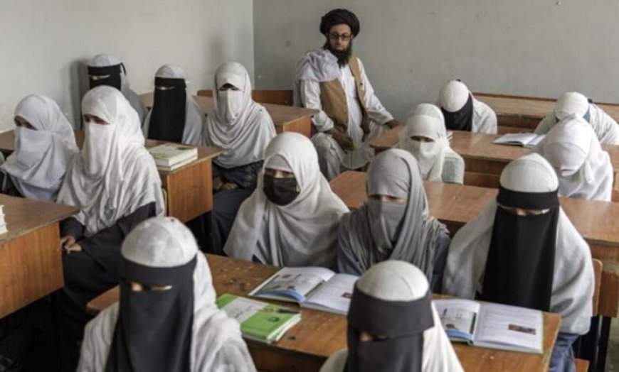अफगानिस्तान में तालिबान के प्रतिबंध: स्कूल से लेकर सोशल मीडिया तक सब कुछ बंद