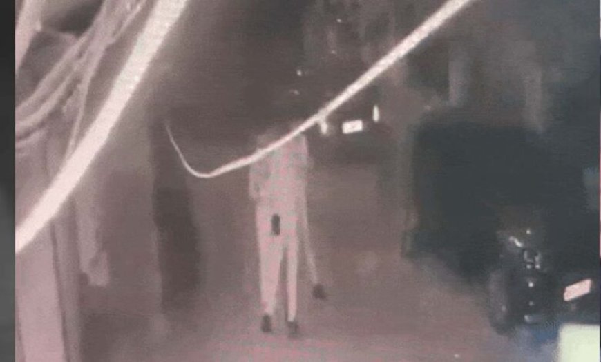 भोपाल में इंजीनियर को दौड़ा-दौड़ाकर पीटा, पुलिस की बर्बरता सीसीटीवी में कैद