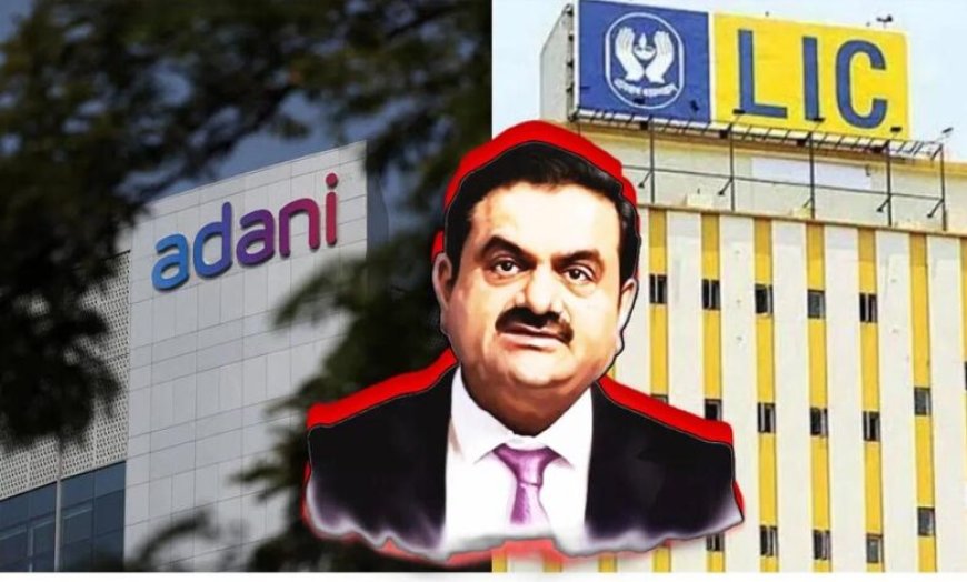LIC के टॉप-5 निवेश में नहीं है अडानी ग्रुप, जानिए किस कंपनी में सबसे ज्यादा निवेश किया गया