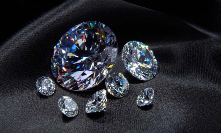 पन्ना टाइगर रिजर्व के गाइड को मिले दो चमचमाते हीरे, आगामी नीलामी में होंगे रखे