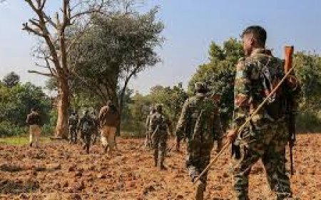 बालाघाट में नक्सलियों से मुठभेड़, कटेझिरिया जंगल में रातभर चली फायरिंग; नक्सली फरार