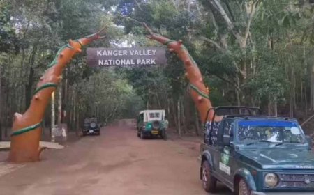 विश्व प्रसिद्ध कुटुमसर गुफा के द्वार खुले, पहले ही दिन उमड़े सैकड़ों पर्यटक