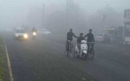 एमपी में ठंड का कहर: 16 नवंबर तक चलेगी कड़ाके की Cold Wave, 16 जिलों में अलर्ट जारी