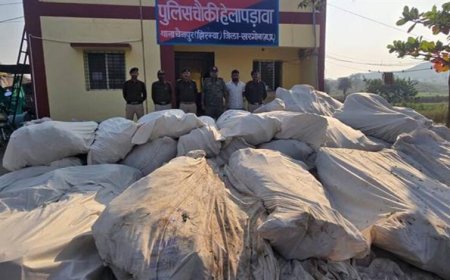 खरगोन पुलिस की अब तक की सबसे बड़ी कार्रवाई पहाड़ी क्षेत्र में अवैध गांजा की खेती का भंडाफोड़