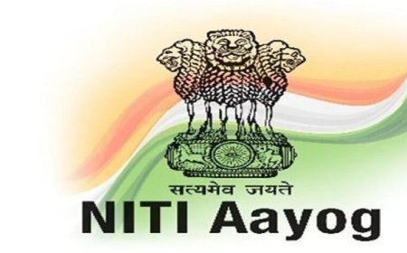 नीति आयोग का सुझाव: बात-बात पर लाइसेंस और निरीक्षण राज को खत्म किया जाए