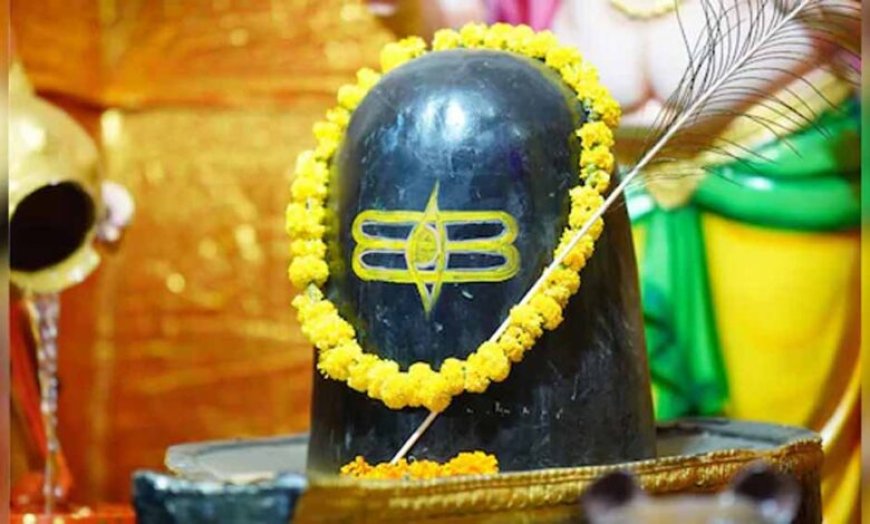 देवउठनी एकादशी 2025: शिवलिंग पर चढ़ाएं ये 5 चीजें, दूर होंगे जीवन के सभी दुख!