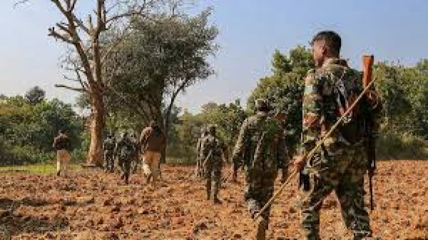 बालाघाट में नक्सलियों से मुठभेड़, कटेझिरिया जंगल में रातभर चली फायरिंग; नक्सली फरार