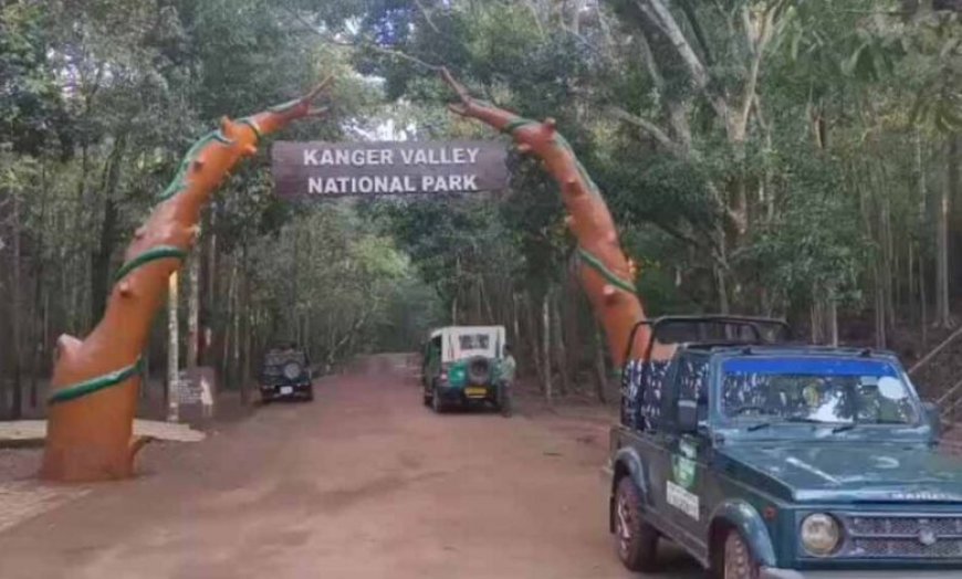 विश्व प्रसिद्ध कुटुमसर गुफा के द्वार खुले, पहले ही दिन उमड़े सैकड़ों पर्यटक