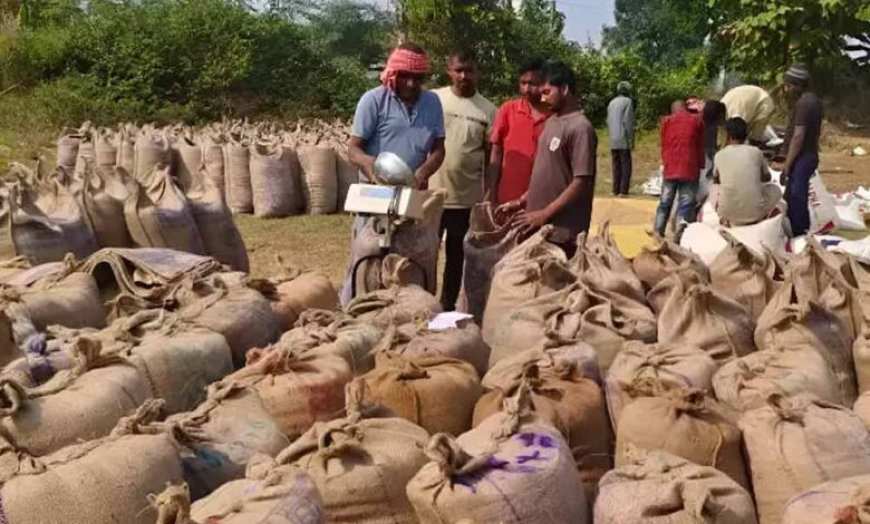 धान खरीदी में लापरवाही: 250 राशन दुकानों का आवंटन निरस्त, 12 कर्मचारियों पर एफआईआर