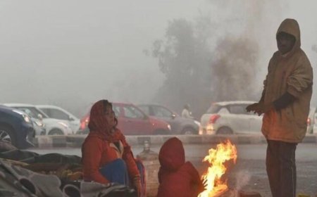 मध्यप्रदेश में कड़ाके की सर्दी का अलर्ट: भोपाल-इंदौर समेत 10 शहरों में पारा 2-3 डिग्री तक गिरेगा
