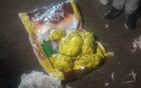 Bhopal Municipal Corporation scam: 16,000 kg of iron used to cover a 240-metre drain, payment of Rs 13 lakh