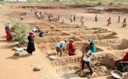 विकसित भारत-जी राम विधेयक को कानून का दर्जा, अब 125 दिन में गारंटीशुदा रोजगार