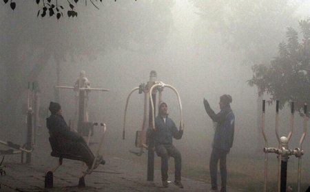 मध्य प्रदेश में ठंड का असर: 25 शहरों में पारा 10 डिग्री से कम, पचमढ़ी सबसे ठंडा