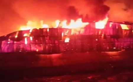 भोपाल के टिंबर मार्केट में भीषण आग, 4 घायल, 22 दमकलों ने पाया काबू