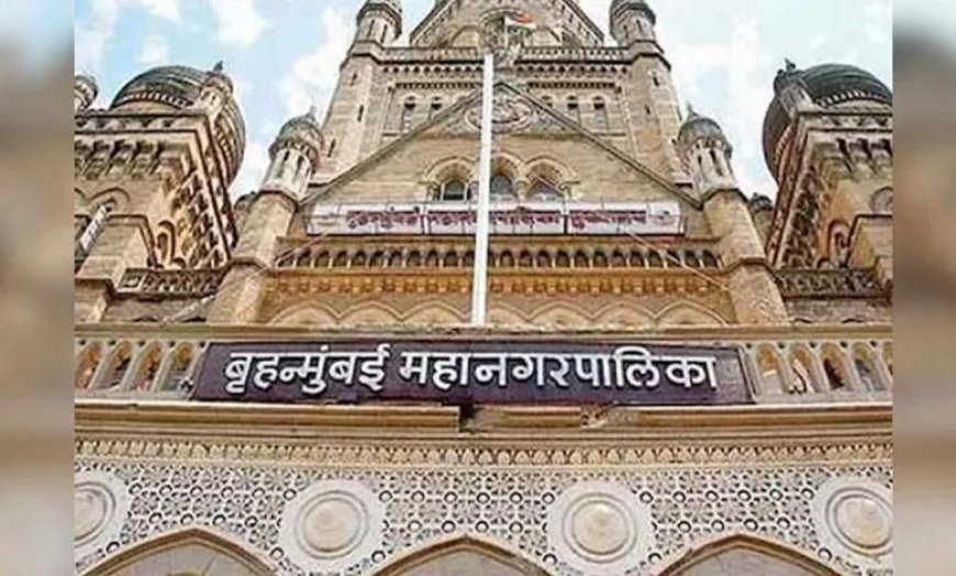 BMC चुनाव में कांग्रेस अकेली, ठाकरे बंधुओं और शरद पवार ने बनाया फासला