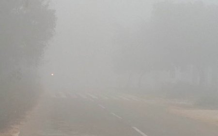 MP में कड़ाके की ठंड और कोहरा, 19 जिलों में स्कूलों की छुट्टी, बड़वानी में दूध टैंकर पलटा - एक की मौत