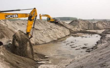 रायपुर में अवैध रेत खनन पर एनजीटी सख्त, अफसरों की भूमिका की होगी उच्चस्तरीय जांच