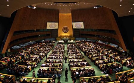 UN में भारत का खुला समर्थन! ईरान के साथ खड़ा हुआ भारत, नाटो-पश्चिमी देश हैरान